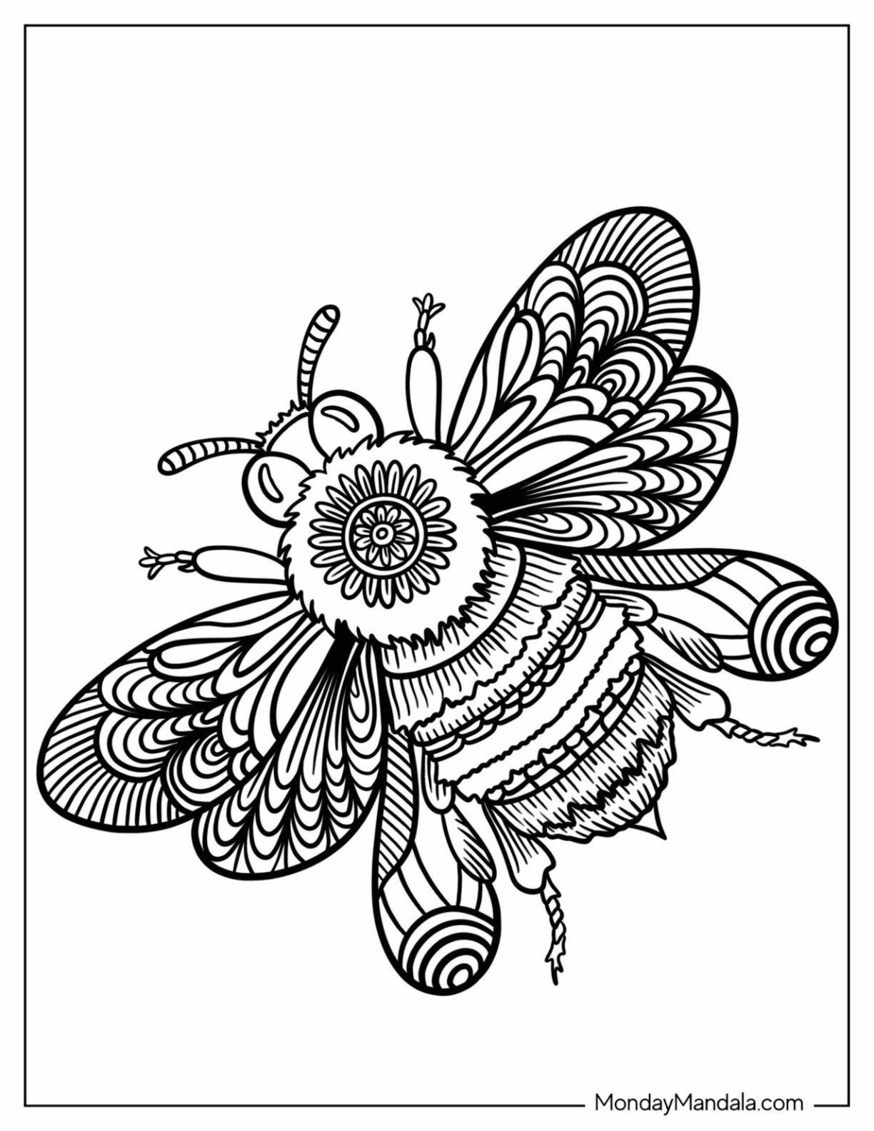 free printable animal coloring pages for adults