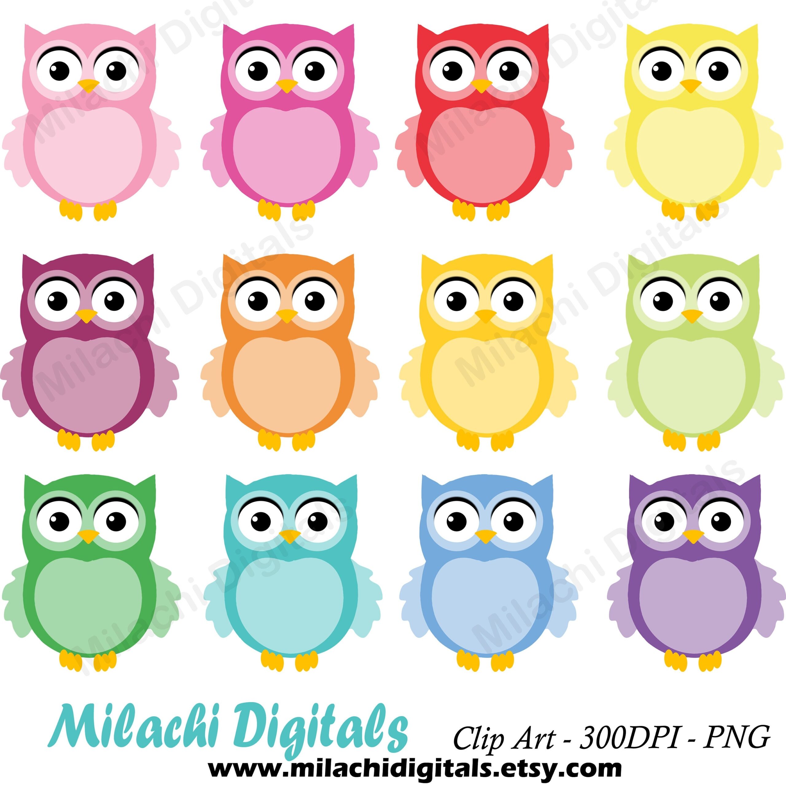 Cute Owl Clipart Animal Clip Art Printable Planner Stickers Paper Crafts Scrapbooking Clipart Set Colorful Commercial Use M814