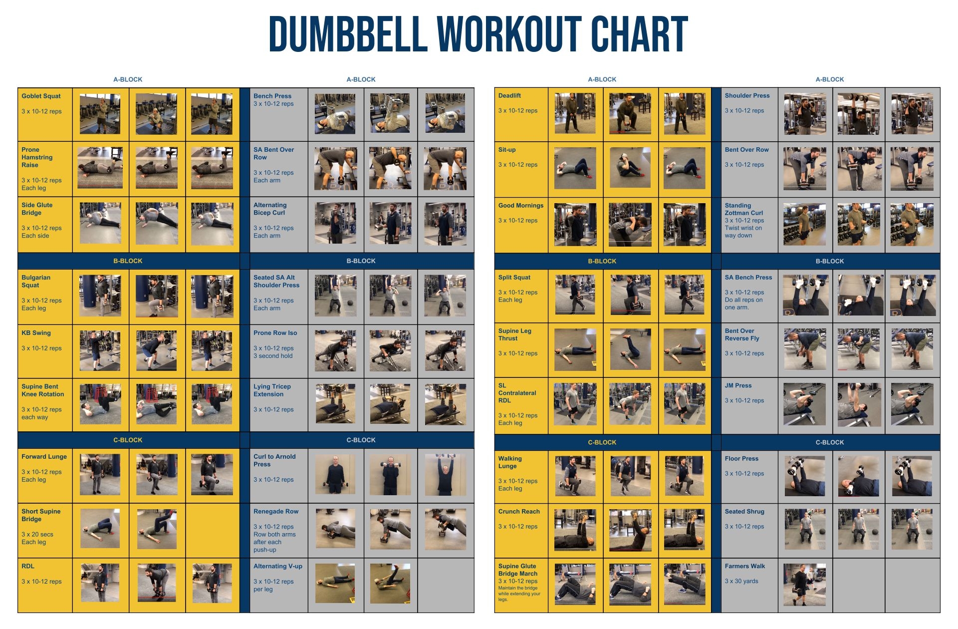 Dumbbell Exercises Chart 10 Free PDF Printables Printablee