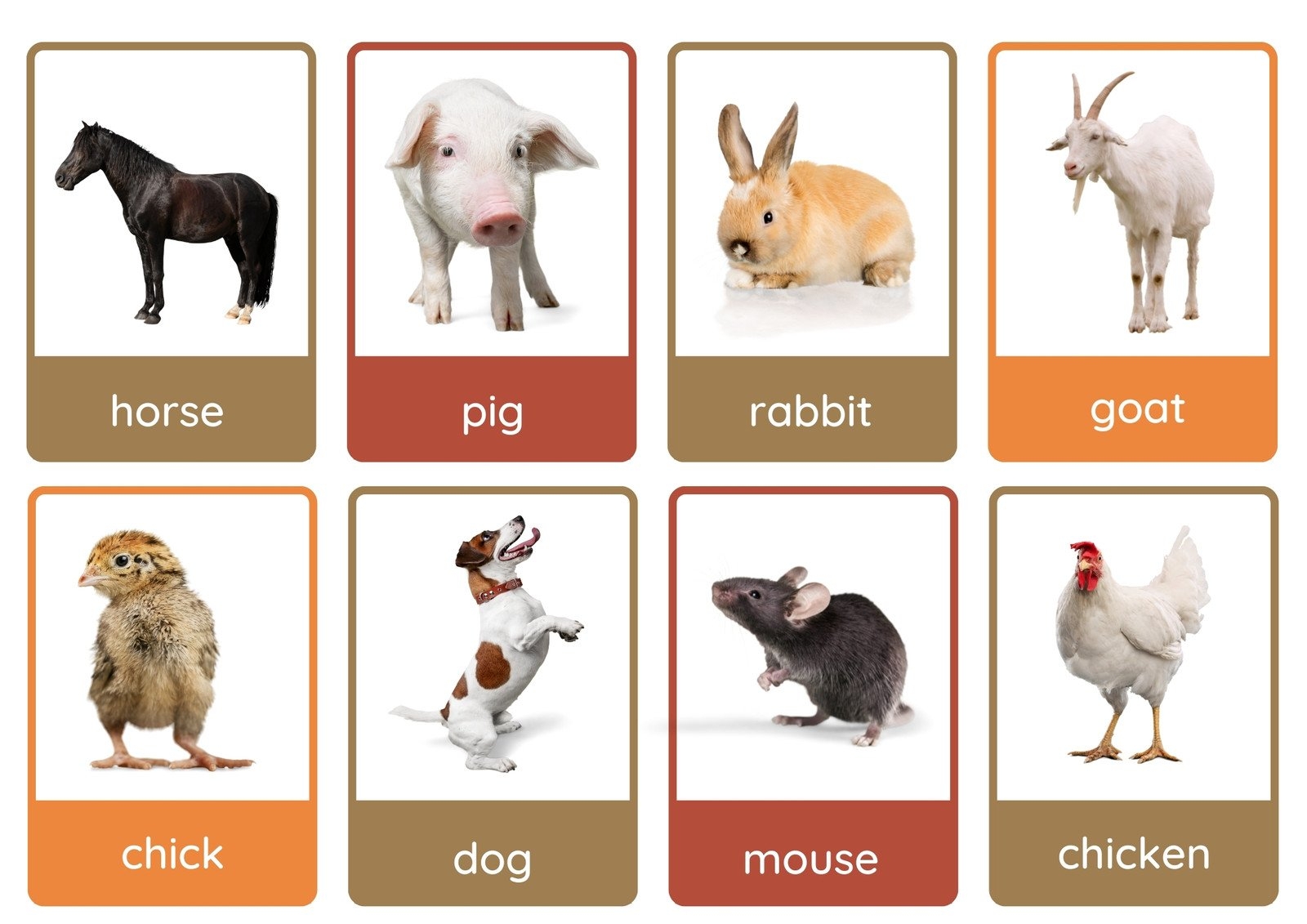 Free Animal Flashcards To Customize And Print Canva