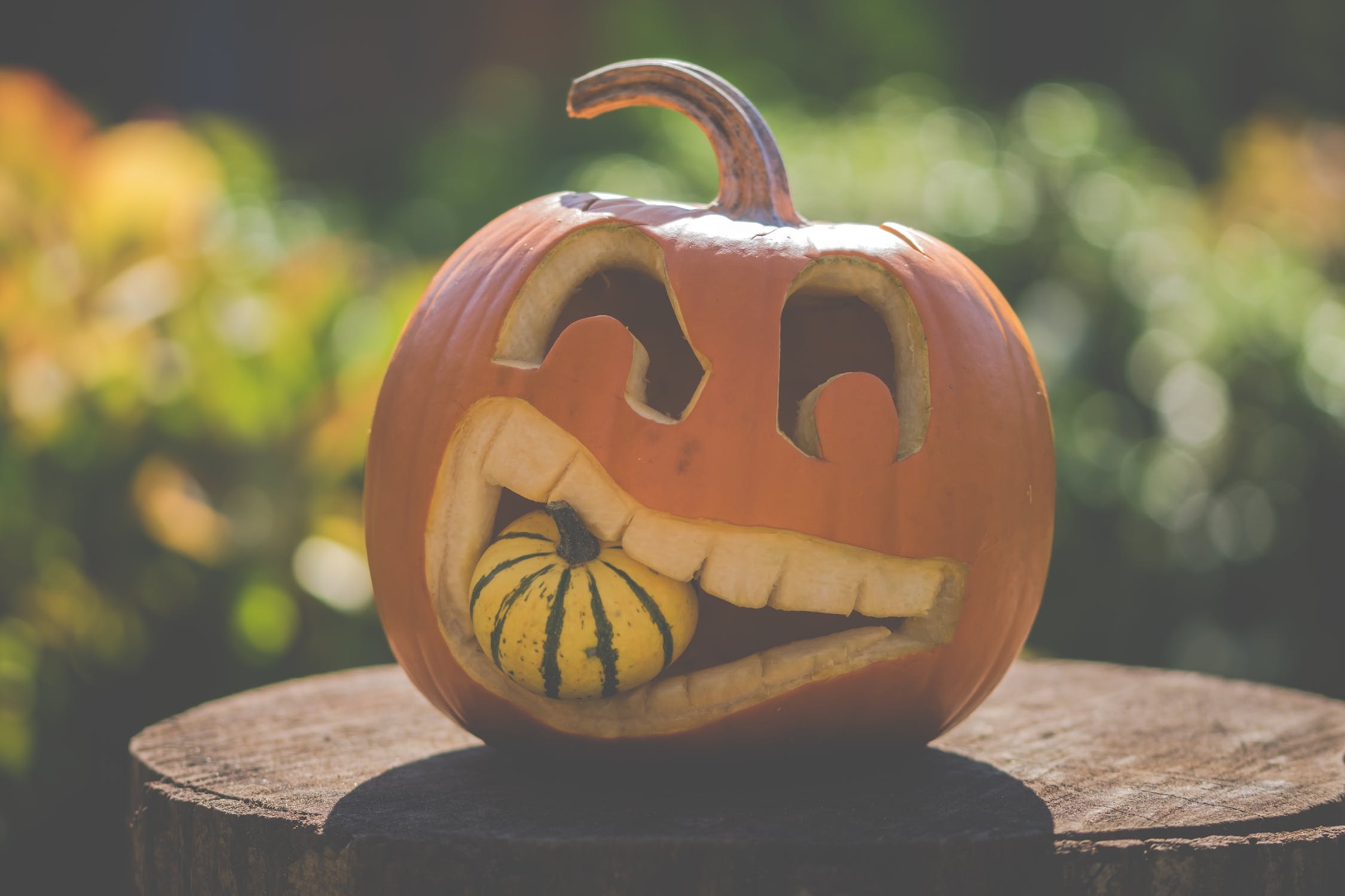pumpkin carving stencils printable
