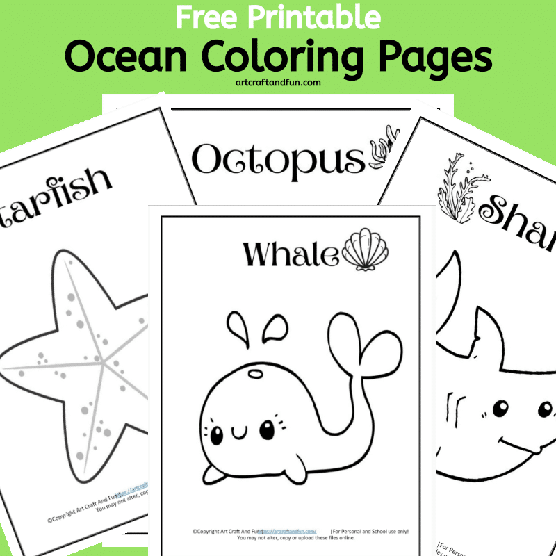 printable pictures of sea animals