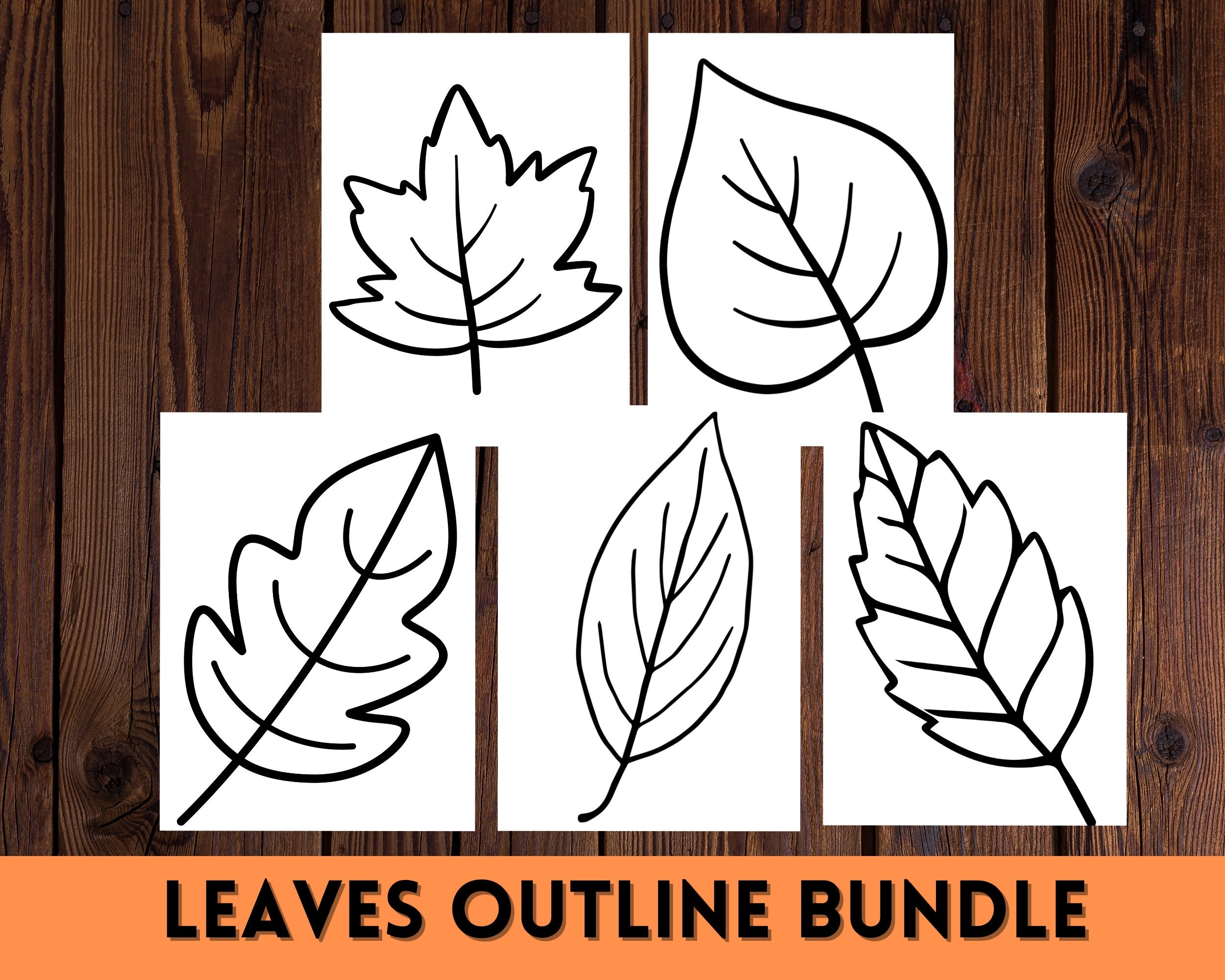 Leaves Outline Bundle PDF Printable Autumn Leaf Designs DIY 