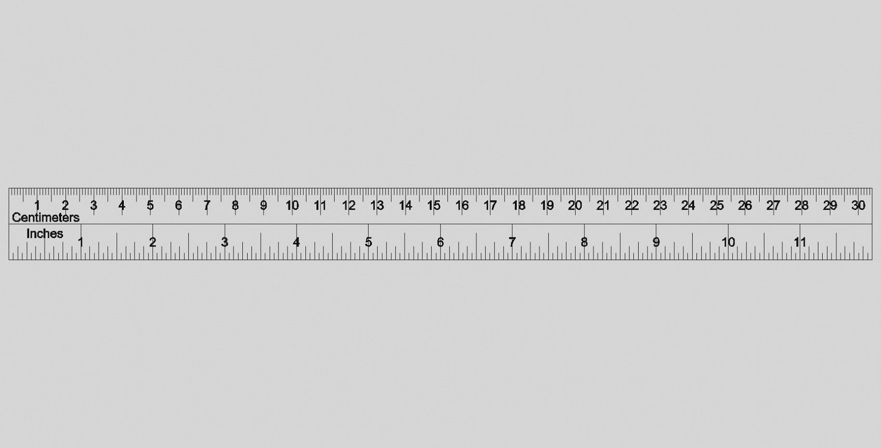 Life Size Ruler Print Out Scotttrolcavegilk1981 s Ownd