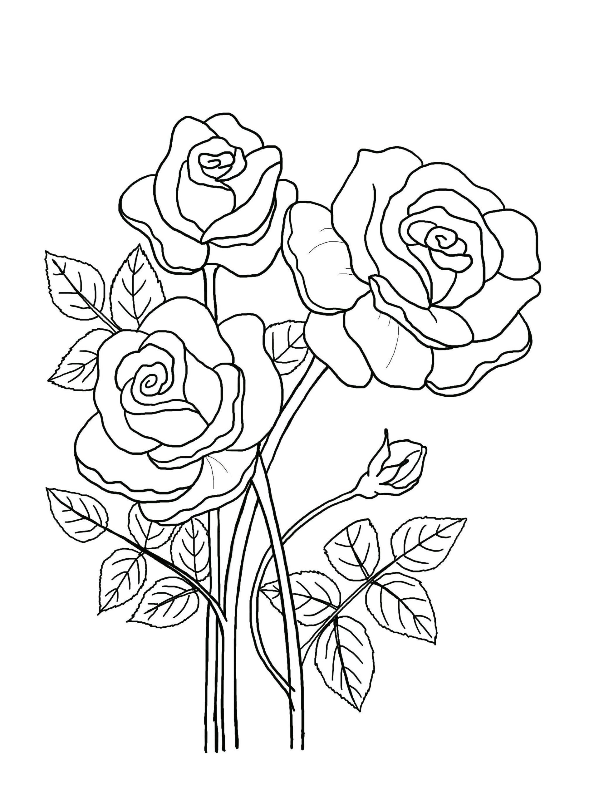 Printable Floral Coloring Sheets Coloring Pages Adult Coloring
