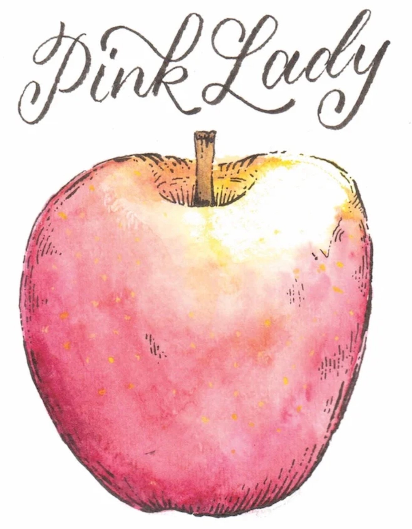 apple hill printable map