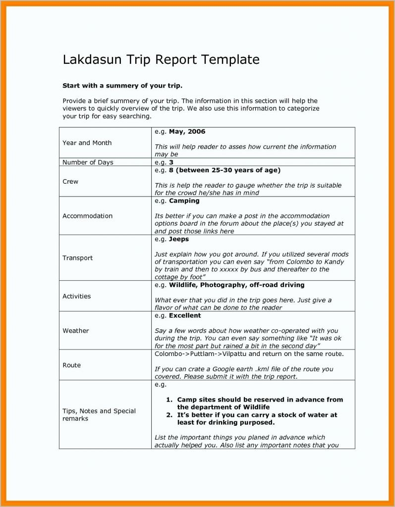 13 Business Trip Report Examples To Download