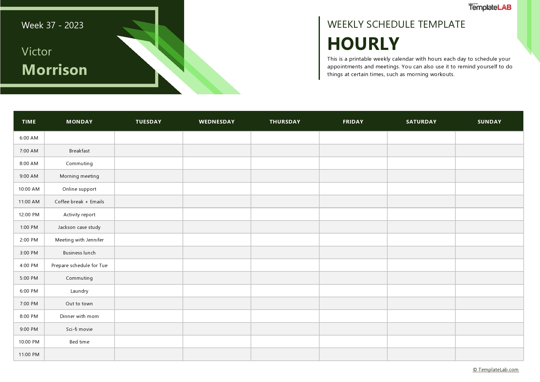 weekly hourly schedule template word