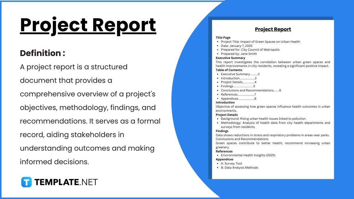 Free 40 Project Report Templates PDF Word Doc Pages