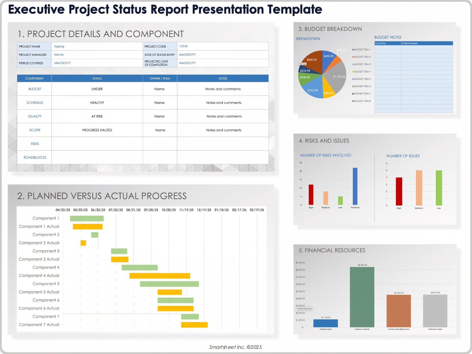executive project status report template