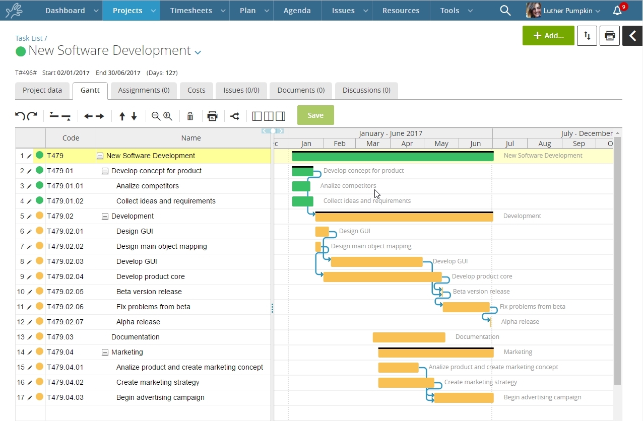 software development project plan template