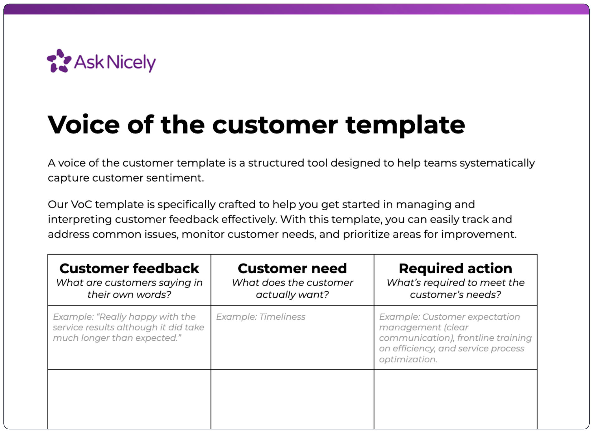 Free Voice Of The Customer Template Step by Step Guide