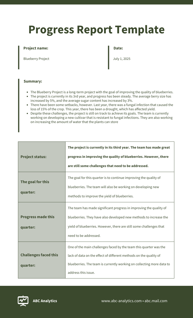 Sample Project Progress Report Template Venngage