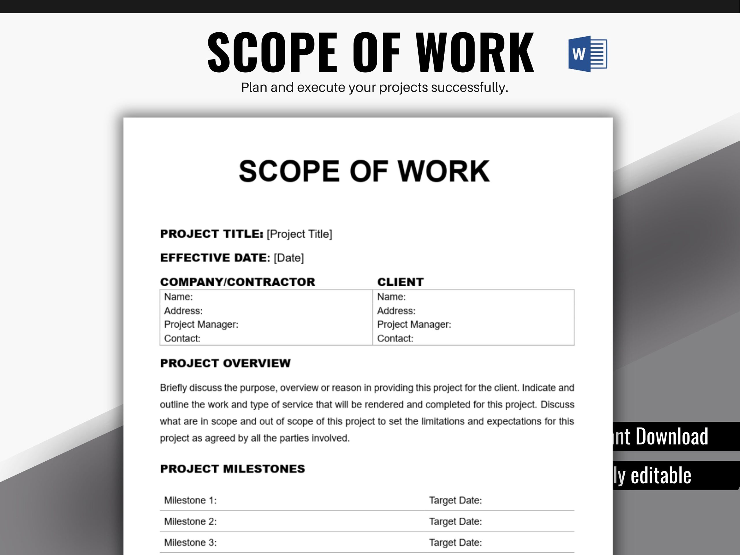 Scope Of Work Template Statement Of Work SOW Template Project Management Vendor Contract Project Scope MS Word Etsy