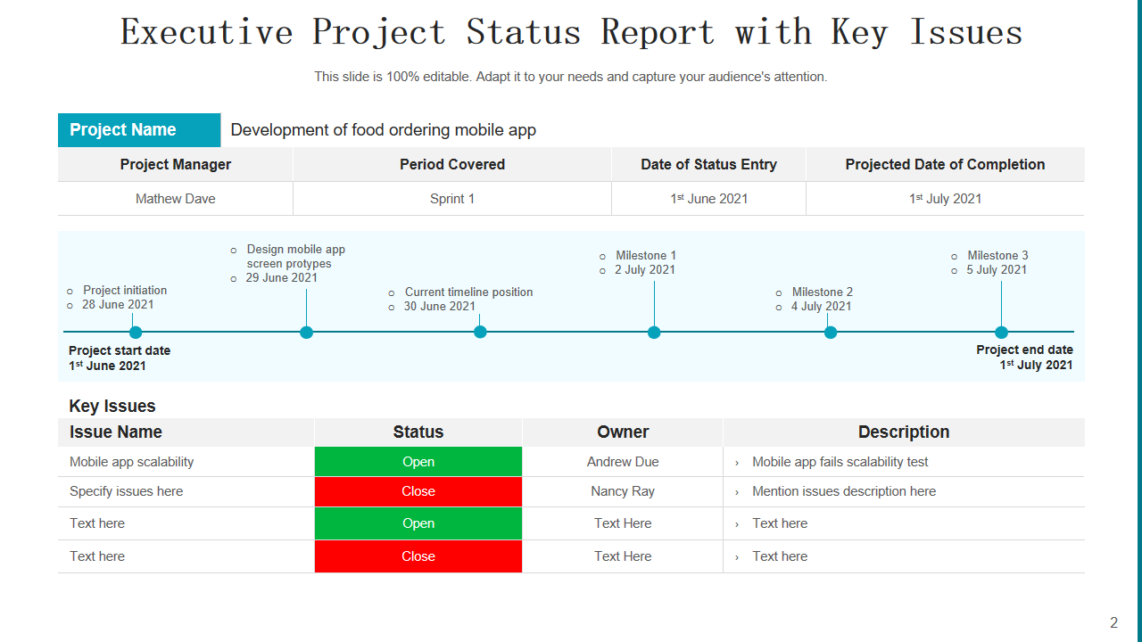 Top 10 Executive Project Status Report Templates With Examples And Samples