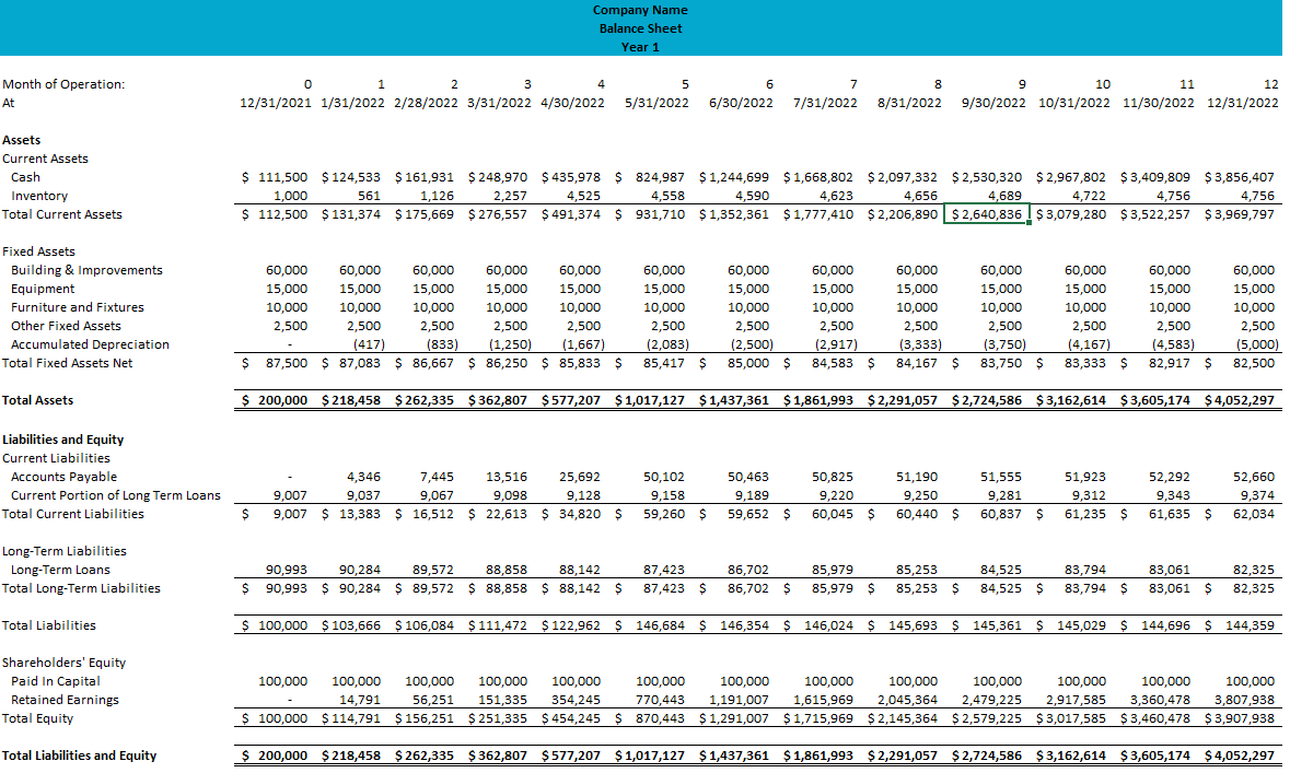pro forma income statement template