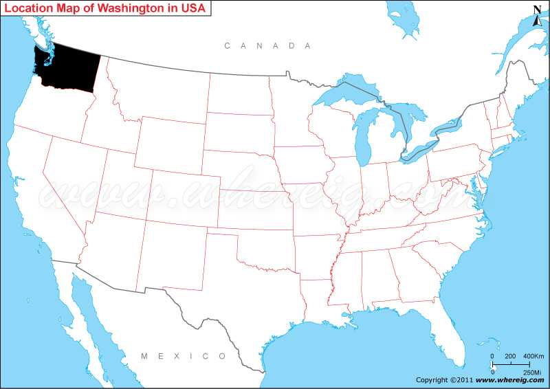 Student researching Washington state facts from books or tablet